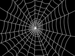 Spiders Web AI Performance Tuning. When high-performance is seen at a node, it is used locally to build a Competatively Displaced Connection List. High and Low performers are communicated to the Swarm so they can optimise their routing tables. This creates a 'memetic gravity well' around the 'hot' connection. A Distributed Chaotic-Strange-Attractor appears around the 'hot' node. Much like a Spiders Web. This enables rapid content movement for those transferring data.