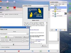 gaim with Sip Phone !