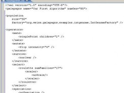 An example XML input file with the algorithm's parameters.