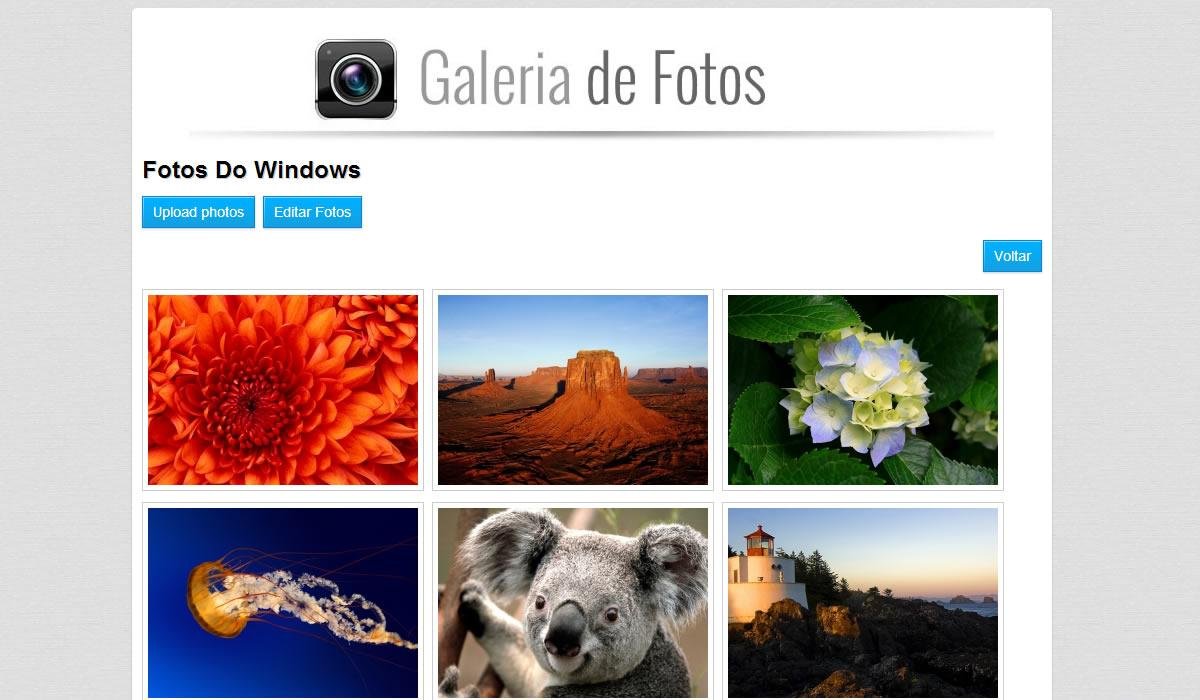 Galeria De Fotos Sem Banco De Dados Download Sourceforge Net