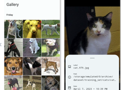 Gallery Android Screenshot 1
