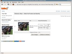 User viewing cart and selecting products