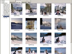Album View while Offline