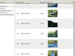 PyGallue, the graphical upload client