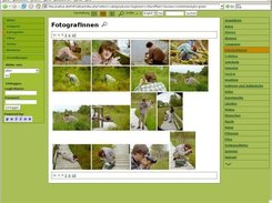 Gallery view ("green" style)
