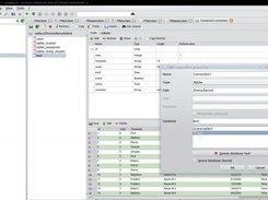 Gambas 3 IDE - Database manager