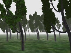 Second screenshot, trees tests