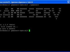 Gameserv being run from a shell