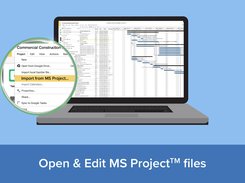 Open & Edit MS Project Files