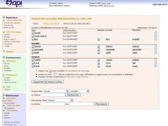 GAPI CMS Screenshot 1