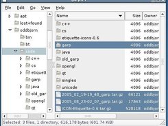 Screenshot showing dynamic selection info.