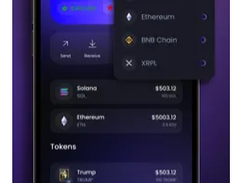 Gaya Wallet Screenshot 1