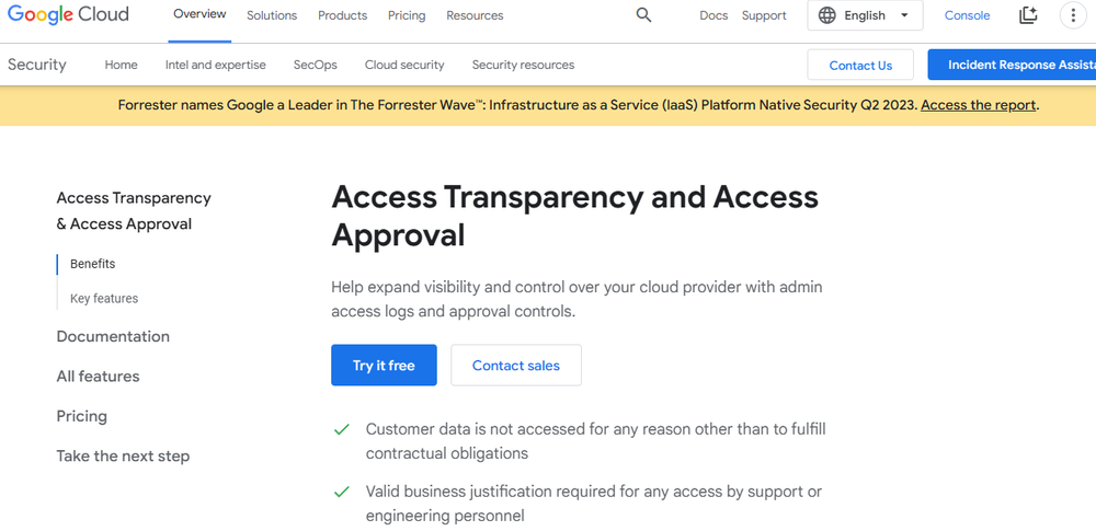 Google Cloud Acccess Transparency Screenshot 1