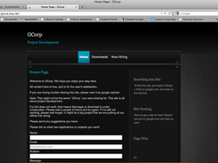 Website