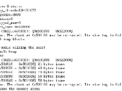 heap with memory corruption