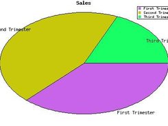 Pie Graph Variation