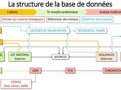modèle GDSTI