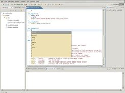 Main view with Projectmanagement and Editor