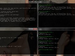 Terminal Screen Shot