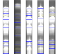 Similarity Search