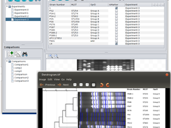 Main Window of GelJ and dendrogram