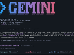 Gemini CLI Screenshot 1