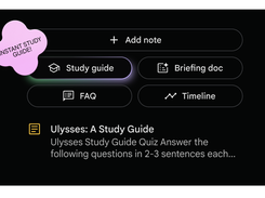 Gemini Notebook Screenshot 3