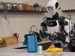 Gemini Robotics Screenshot 2