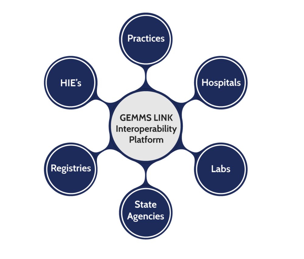 GEMMS ONE Screenshot 1