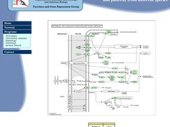 Reverse search of pathway