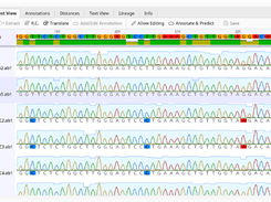 Geneious Screenshot 1