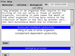 Viewing the ontology