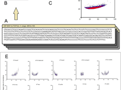 DNA pattern schematic overview of the promoter analysis