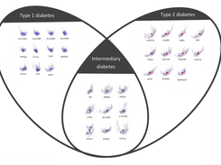 Promoters Highlight More than Two Phenotypes of Diabetes