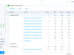 Cerri Project - Resource Workload