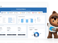 Salesforce Marketing Cloud Intelligence Screenshot 1