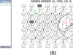 GUI Interface