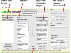 GenomeRunner v4.0 workflow