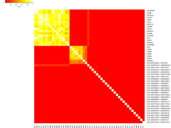 Protein similarity used to create the pangenome
