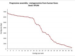 Contig size rank of a progressive assembly performed with a profile HMM as a seed