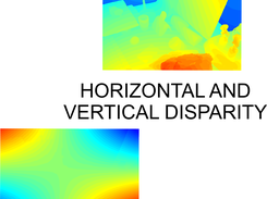 Ground-truth Horizontal and Vertical Disparity