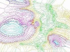 2D voronoi diagram