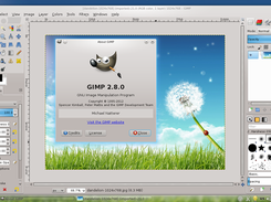 Gimp