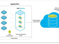 XAP Skyline Data Consistency