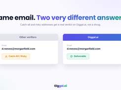 catch-all email verification tool