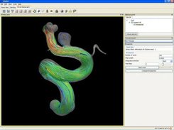 Computational Fluyd Simulation