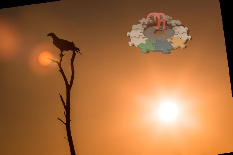 Eagle and sun