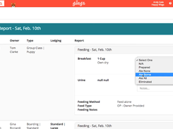 Gingr-FeedingReport