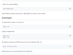 gist(1) Screenshot 1