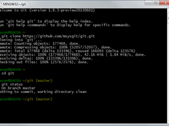 Git BASH